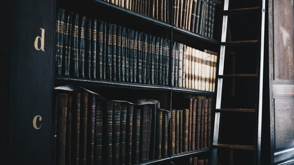 black wooden d and c bookshelf