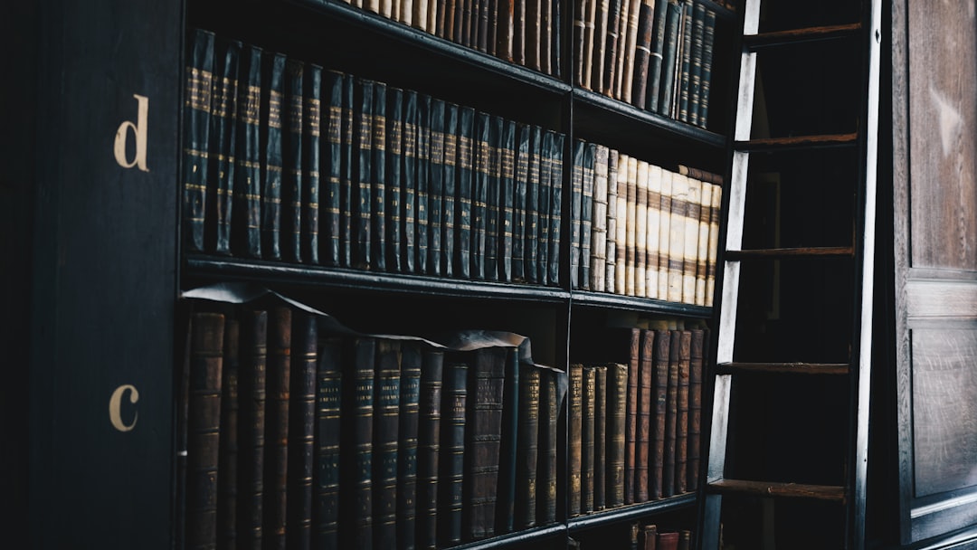 black wooden d and c bookshelf
